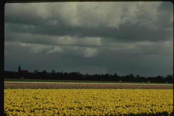 140059 Moody Sky Over Tulip District A4 Photo Print