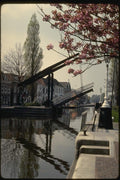 140066 Drawbridge And Cherry Bridge A4 Photo Print