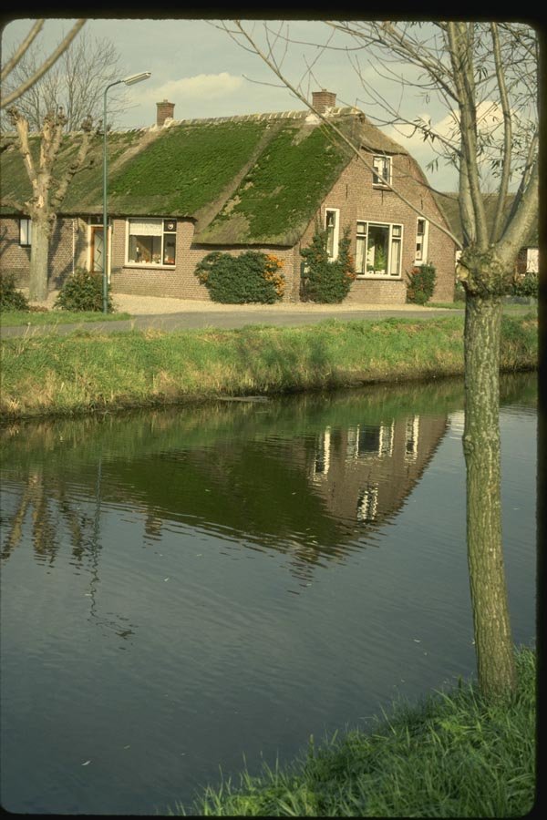 140089 Moss Growth On Farmhouse A4 Photo Print