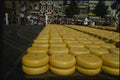 140093 Gouda Cheese A4 Photo Print