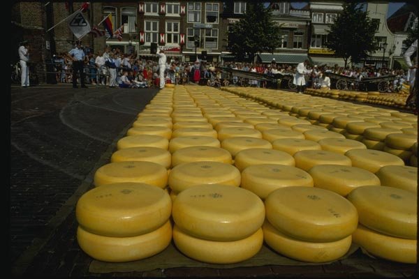 140093 Gouda Cheese A4 Photo Print