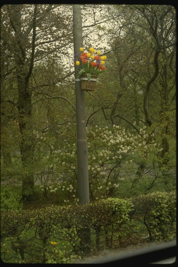 140098 Street Decoration A4 Photo Print