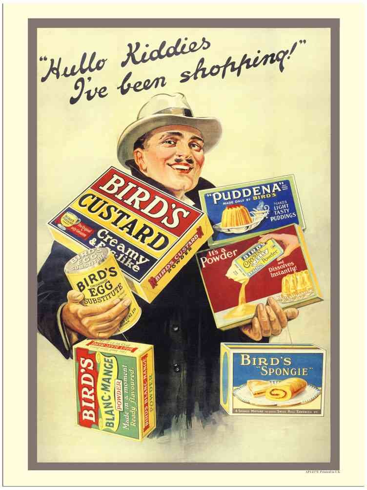 1417E Hello Kiddies Birds Custard Vintage Advert A4 Photo Print