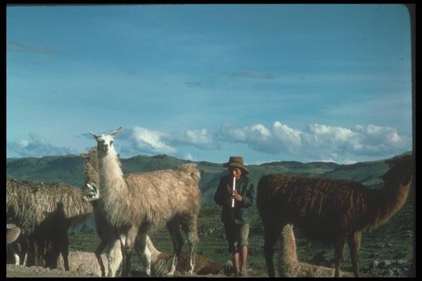 142033 Herdsman Playing The Flute A4 Photo Print