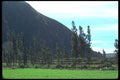142041 Mountain Side, Anta Valley A4 Photo Print