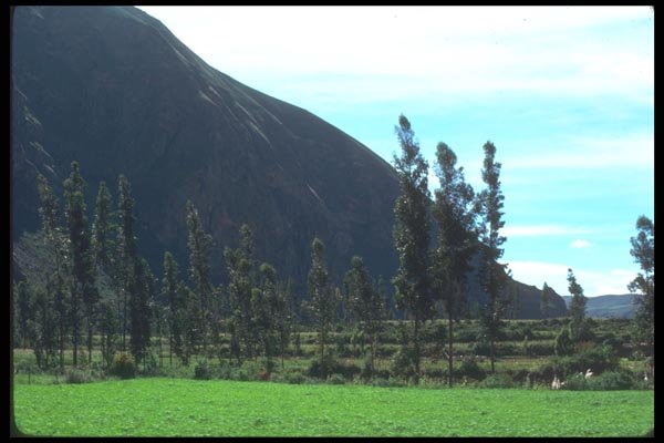 142041 Mountain Side, Anta Valley A4 Photo Print