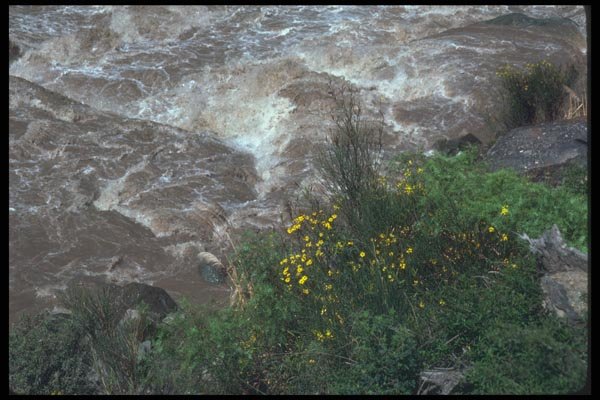 142043 Urubamba River A4 Photo Print