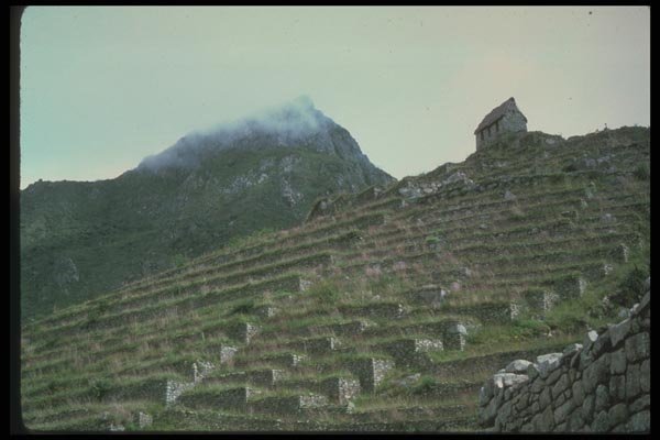 142047 Terraces And Watchtower, Machu Picchu A4 Photo Print
