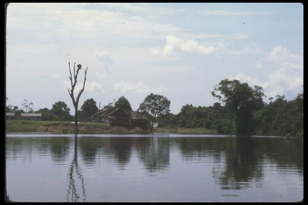 142067 Reflections In The Nanay A4 Photo Print