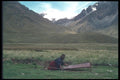 142073 Alti Plano Weaver A4 Photo Print