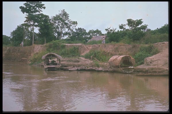 142077 On The Ucayali River A4 Photo Print