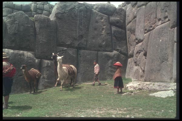142080 Llamas And Herdsmen A4 Photo Print