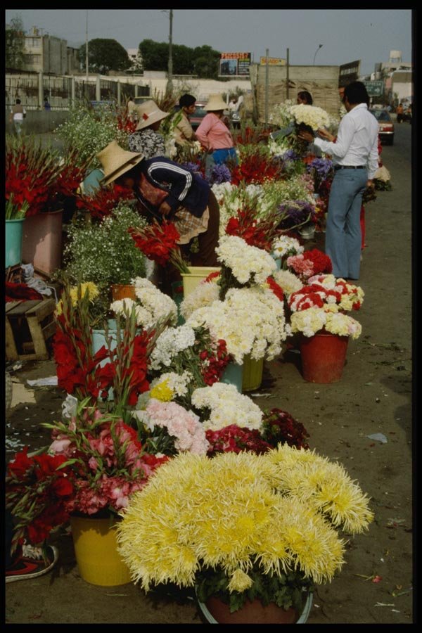 142087 Open air Flower Market, Lima A4 Photo Print