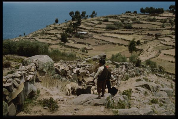 142090 Terraced Farms On Ticili Island In Lake Titicaca A4 Photo Print