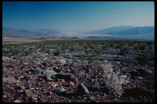 143005 Death Valley View From Daylight Pass A4 Photo Print