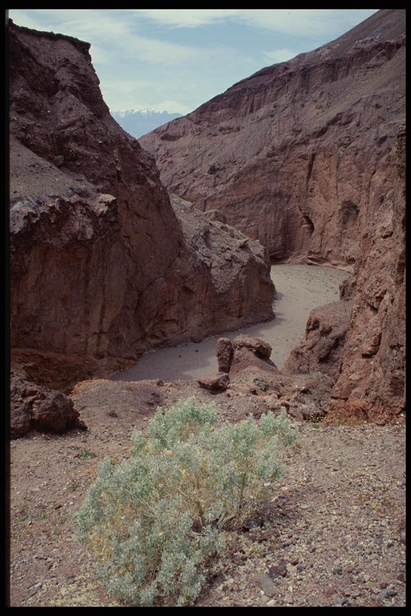 143015 Death Valley Natural Bridge A4 Photo Print