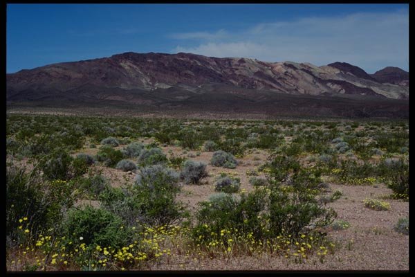143017 Death Valley Greenwater Valley A4 Photo Print