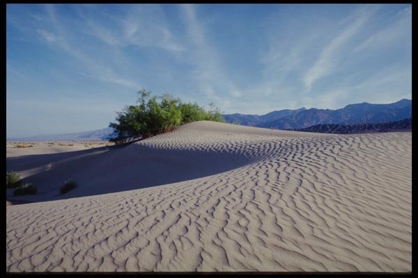 143028 Death Valley Sand Dunes A4 Photo Print
