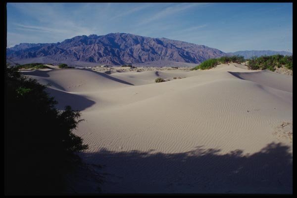 143029 Death Valley Sand Dunes A4 Photo Print