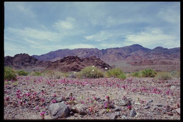 143053 Death Valley Jubilee Pass A4 Photo Print