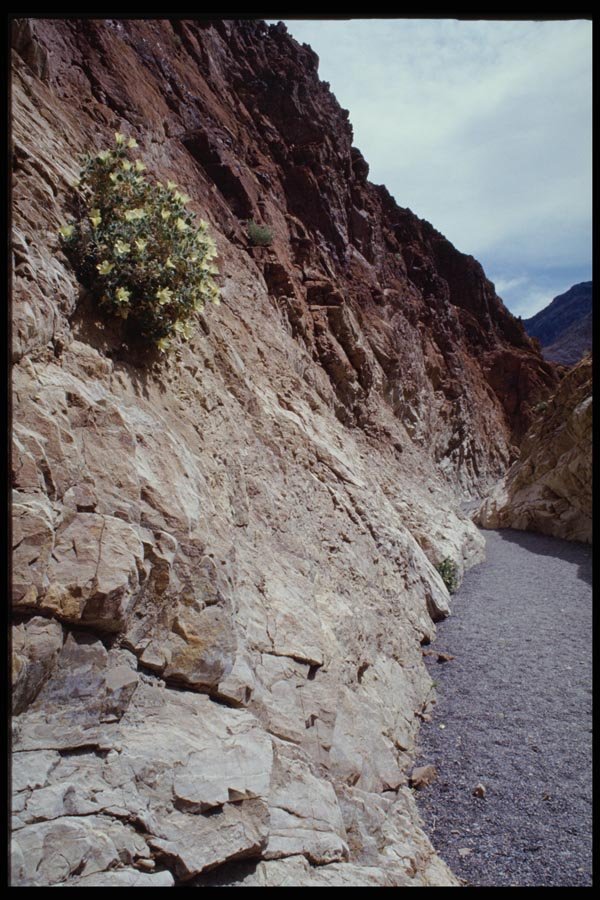 143055 Death Valley Mosaic Canyon A4 Photo Print