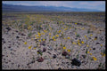 143060 Inyo County Panamint Valley A4 Photo Print