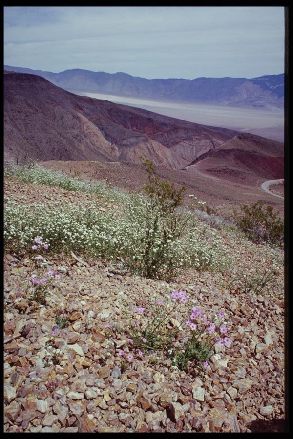 143061 Inyo County Argus Range Rainbow Canyon A4 Photo Print