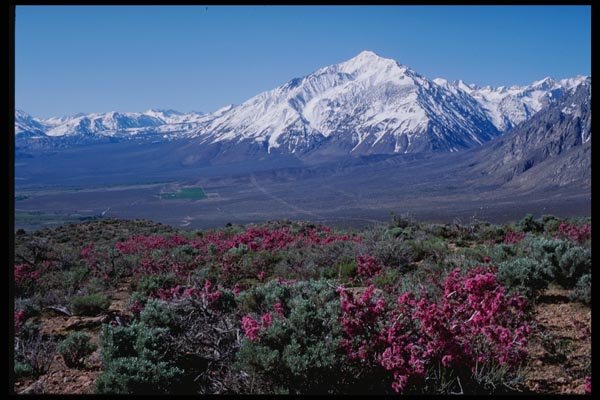 143068 Mono County Sherwin Hill A4 Photo Print