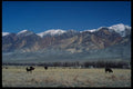 143072 Inyo County White Mountains A4 Photo Print