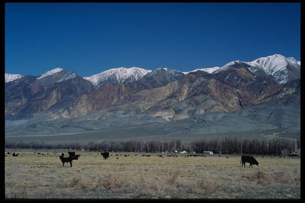 143072 Inyo County White Mountains A4 Photo Print