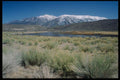 143076 Mono County Benton Hot Springs A4 Photo Print