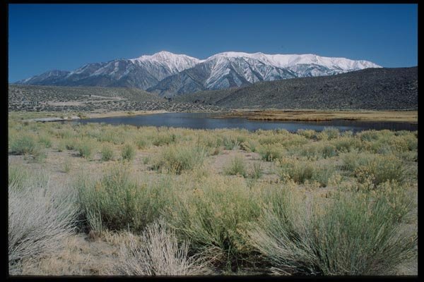 143076 Mono County Benton Hot Springs A4 Photo Print
