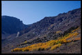 143077 Mono County Grant Lake Aspens A4 Photo Print