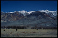 143079 Mono County White Mountains A4 Photo Print