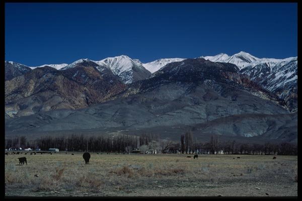 143079 Mono County White Mountains A4 Photo Print