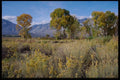143080 Inyo County Round Valley A4 Photo Print