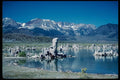 143081 Mono County Mono Lake A4 Photo Print