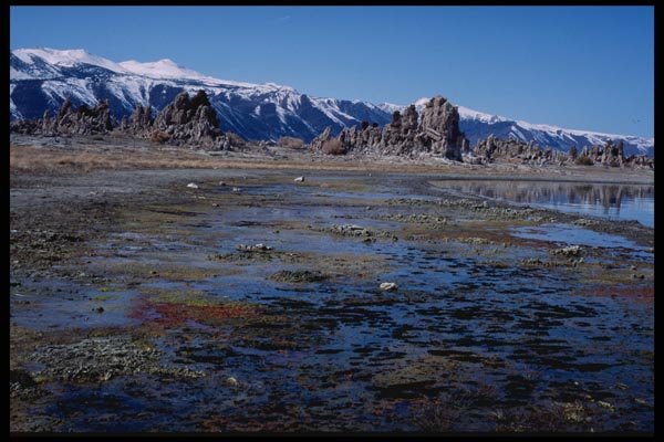 143082 Mono County Mono Lake A4 Photo Print