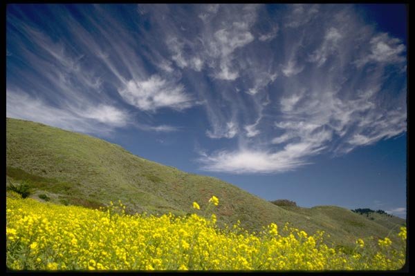 144010 Golden Gate Nat'l Recreation Area Marin Headlands A4 Photo Print