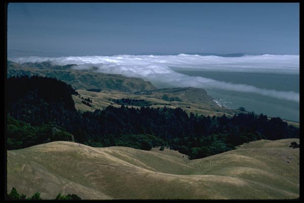 144022 Mt. Tamalpais State Park Bolinas Ridge A4 Photo Print