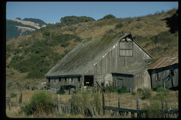 144023 Barn At Bolinas A4 Photo Print