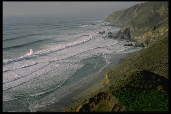 144025 Pt. Reyes National Seashore A4 Photo Print