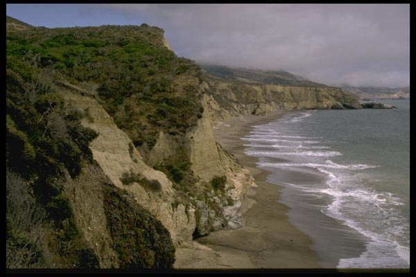 144026 Pt. Reyes National Seashore A4 Photo Print