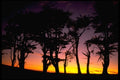 144031 Pt. Reyes National Seashore Sunset A4 Photo Print