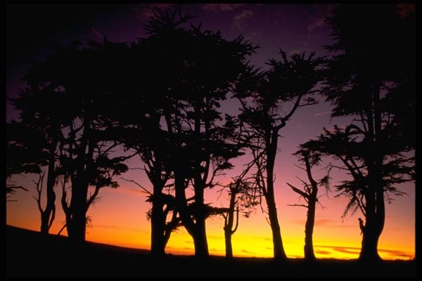 144031 Pt. Reyes National Seashore Sunset A4 Photo Print