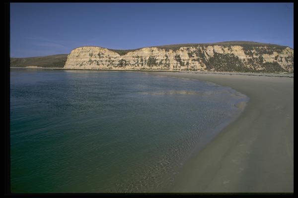 144034 Pt. Reyes National Seashore Limantour Beach A4 Photo Print
