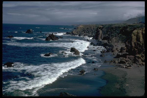 144044 Sonoma Coast A4 Photo Print