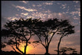 144060 Sunset At Pacific Grove A4 Photo Print