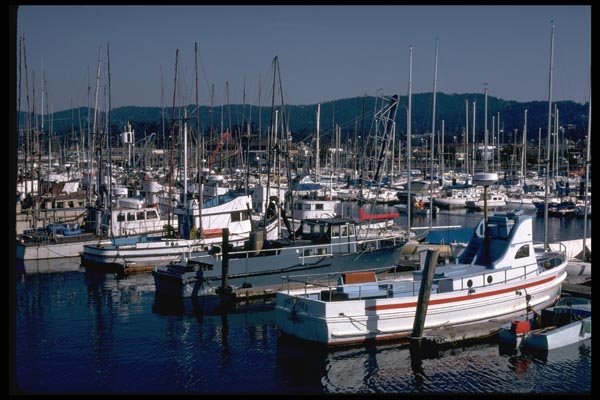 144061 Montery Harbor A4 Photo Print