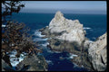 144066 Pt. Lobos State Park A4 Photo Print
